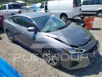 2019 Nissan MAXIMA photo