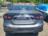 2019 Nissan MAXIMA photo