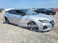 2019 Nissan MAXIMA photo