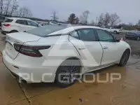 2019 Nissan MAXIMA photo