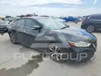 2019 Nissan MAXIMA photo