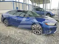 2019 Nissan MAXIMA photo