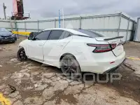 2019 Nissan MAXIMA фото