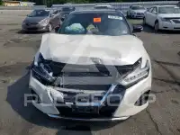 2019 Nissan MAXIMA photo