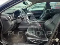2019 Nissan MAXIMA photo
