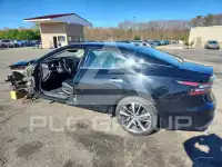 2019 Nissan MAXIMA photo