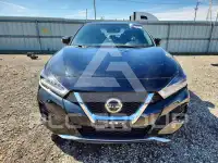 2019 Nissan MAXIMA фото