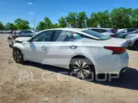 2019 Nissan ALTIMA фото