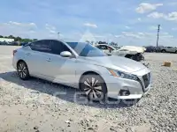 2019 Nissan ALTIMA фото