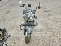 2019 Harley-Davidson FL photo