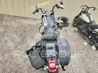 2019 Harley-Davidson FL photo
