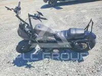 2019 Harley-Davidson Sportster120 фото