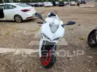 2019 Ducati Other фото