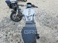 2019 Ducati Monster photo