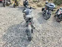 2019 Kawasaki  фото