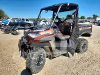 2019 Polaris Sidebyside фото