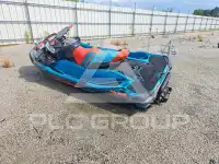 2019 Others  photo