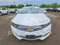2019 Chevrolet Impala photo