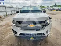 2019 Chevrolet Colorado фото