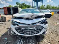 2019 Chevrolet Malibu photo