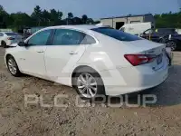 2019 Chevrolet Malibu photo