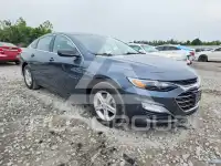 2019 Chevrolet Malibu фото