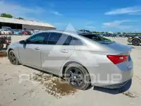 2019 Chevrolet Malibu фото