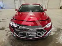 2019 Chevrolet Malibu фото