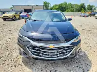 2019 Chevrolet Malibu photo