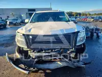 2019 Chevrolet Tahoe фото