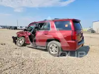 2019 Chevrolet Tahoe photo