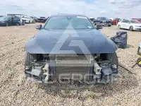 2019 BMW 440 фото