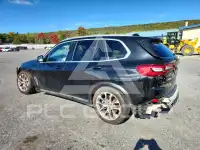 2019 BMW X5 photo