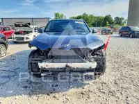 2019 BMW X5 фото