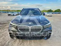 2019 BMW X5 фото