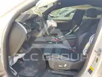 2019 BMW X4 фото