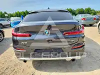 2019 BMW X4 фото