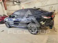 2019 BMW X4 фото
