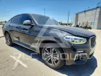 2019 BMW X4 photo