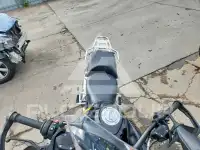 2019 BMW R1250 фото