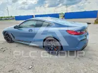2019 BMW M8 фото