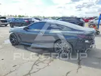 2019 BMW M8 photo