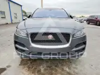 2019 Jaguar F-PACE photo