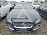 2019 Jaguar XF фото