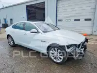 2019 Jaguar XF фото