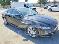 2019 Jaguar XJ фото