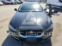 2019 Jaguar XJ фото