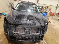 2019 Infinity QX50 photo