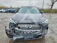 2019 Infinity QX50 фото