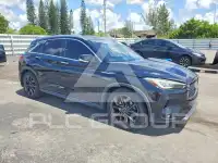 2019 Infinity QX50 photo